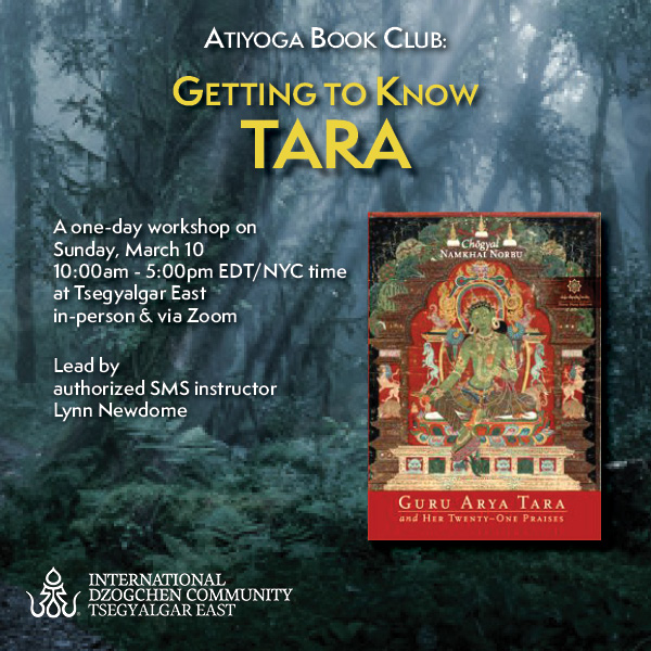 Getting to Know Tara