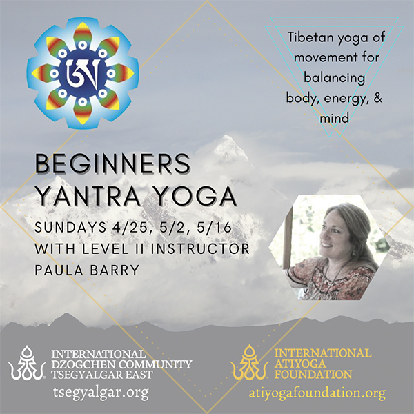 Beginner's Yantra Yoga Course with Paula Barry