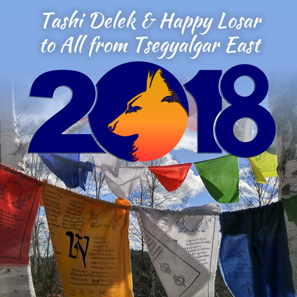 Year of the Earth Dog - Losar at Tsegyalgar East