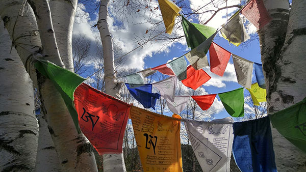 Losar & Pre-Losar activities at the Schoolhouse