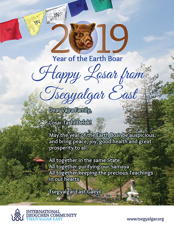 LOSAR: Year of the Earth Boar